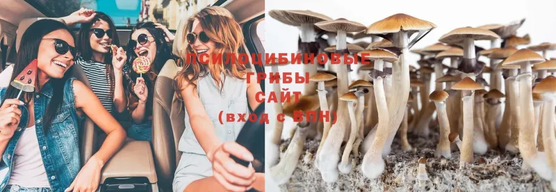 Псилоцибиновые грибы Psilocybe  Сатка 